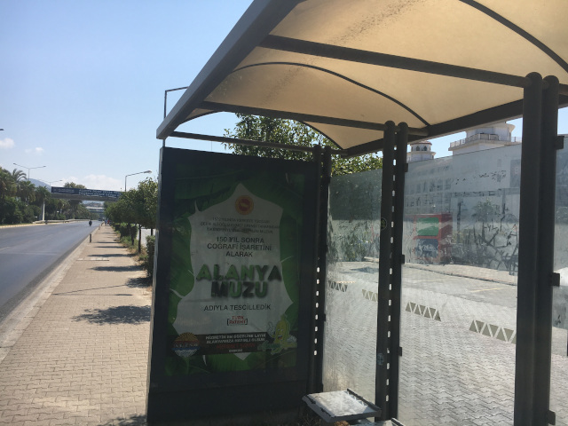 Bus stop at Neva Outlet
