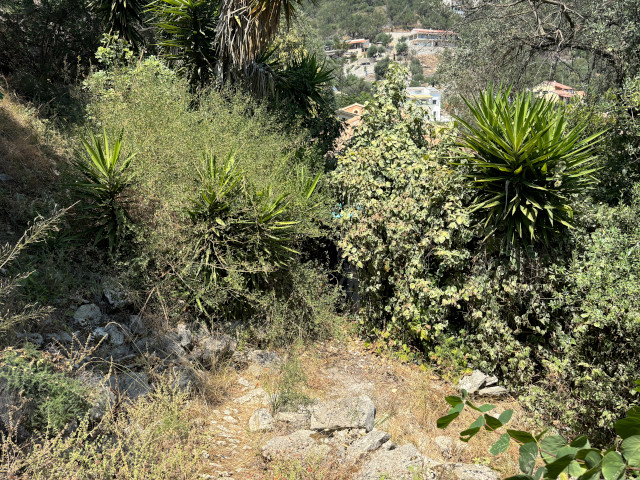 Corfu Trail